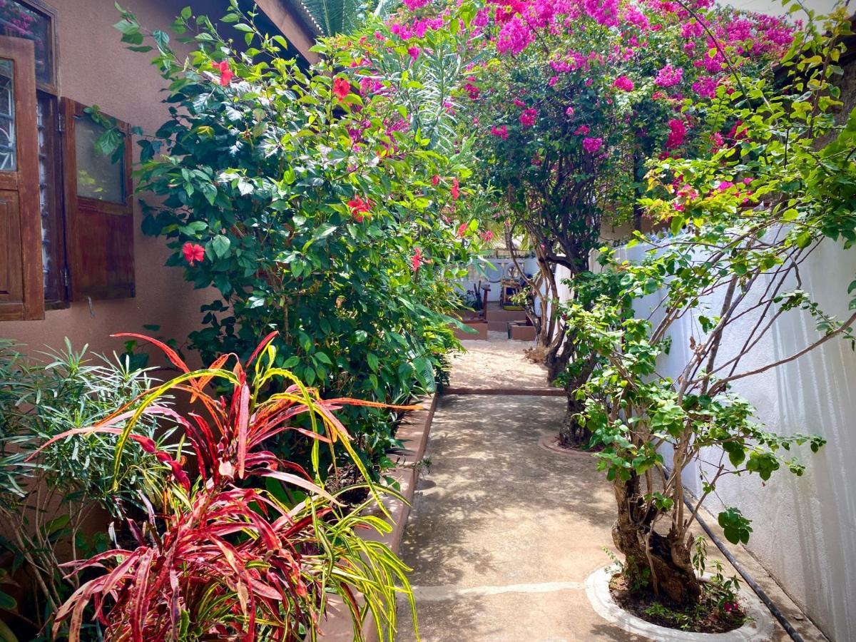 Villa Orchid Beach Guest House Буэхуу Экстерьер фото